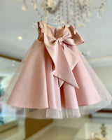 3-6M Baby Girl Princess Dress