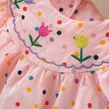 Flower Embroidery Dress