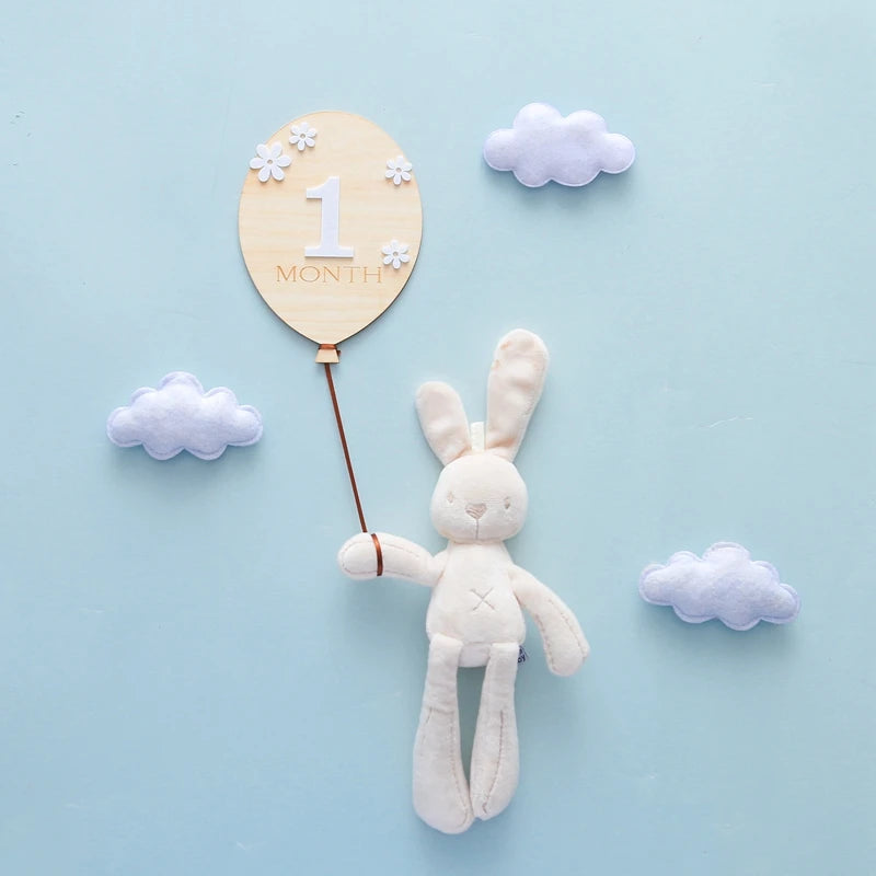 Baby Wooden Balloon age milestone Cards - 2Pcs