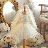 3-6M Baby Girl Princess Dress