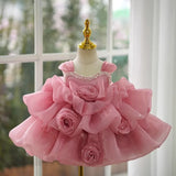 Banquet baby girl birthday party dress